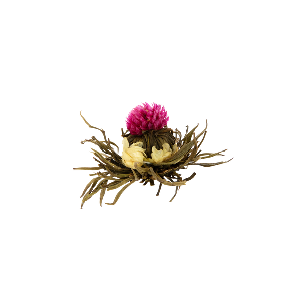 Flowering Tea Ball "Pink Princess"