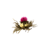 Flowering Tea Ball 