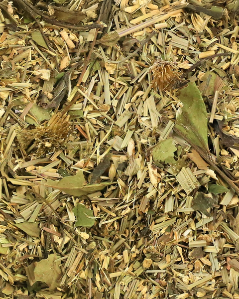 Echinacea Warrior Tea - 150g Loose Leaf Tea Organic