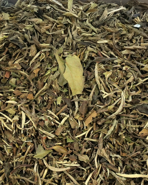 White Tea - 150g Loose Leaf Tea Organic