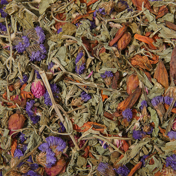 Wild Botanical Mint Tea - Tin Loose Leaf - Limited Edition